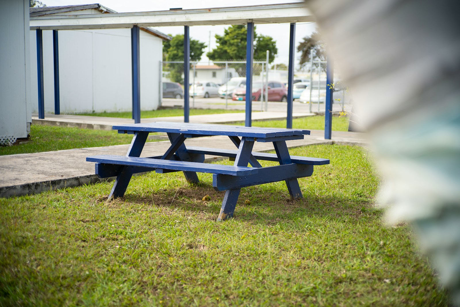a blue picnic table sitting in the grass